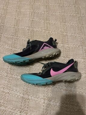 Nike Terra Kiger Trail Shoes